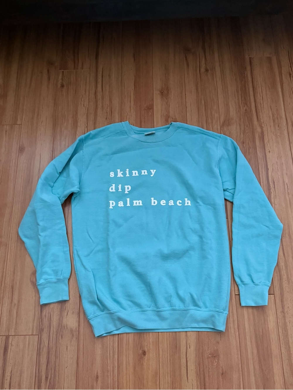 Skinny Dip Palm Beach Sweatshirt in Aqua